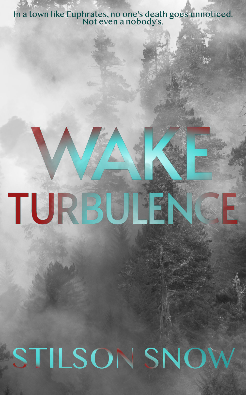 Wake Turbulence Cover
